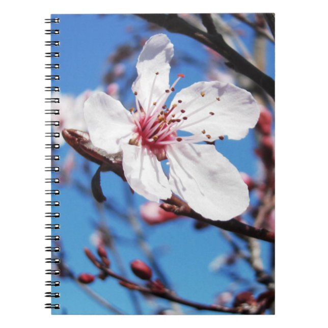 Carnet Cherry Blossom 2 (Devant)