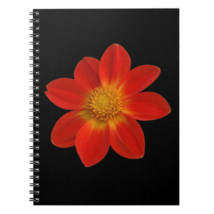 Carnet Cherub alpin (Dahlia)