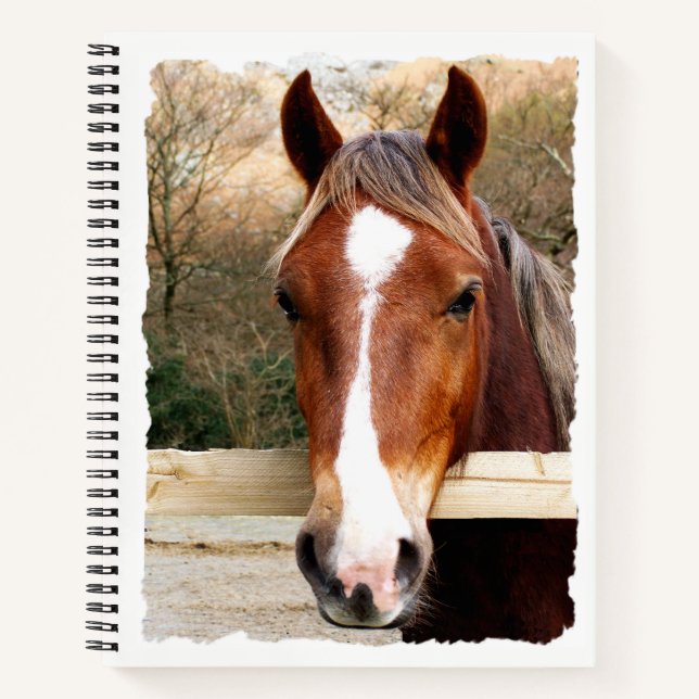CARNET CHESNUT HORSE (Devant)