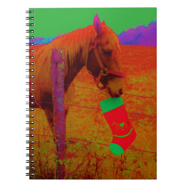 Carnet Cheval arc-en-ciel de Noël (Devant)
