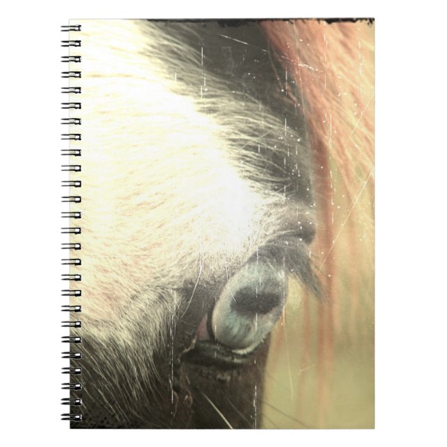 Carnet Cheval aux yeux bleus Grunge (Devant)