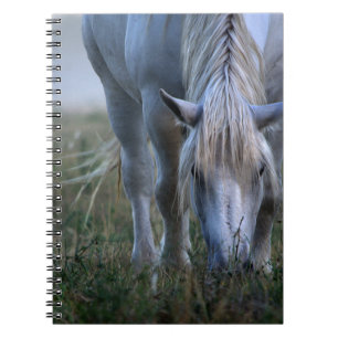 Carnet Cheval blanc