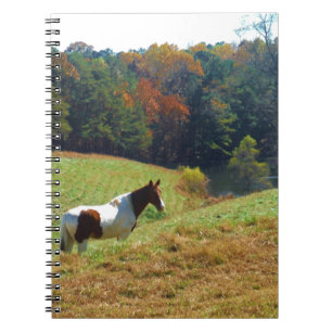 Carnet Cheval blanc et Brown, étang d'automne