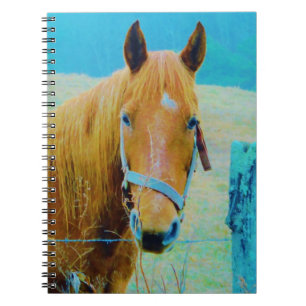 Carnet Cheval bleu Denim teinté
