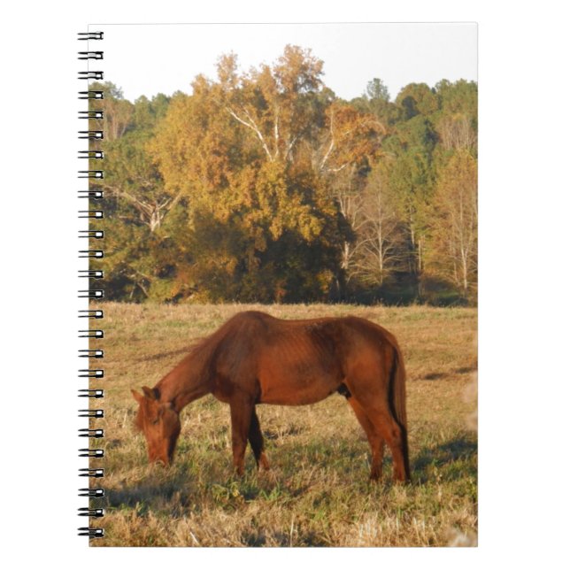 Carnet Cheval Brown dans le champ d'arbre jaune (Devant)