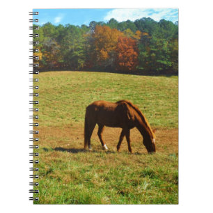 Carnet Cheval Brown rouge dans les arbres d'automne