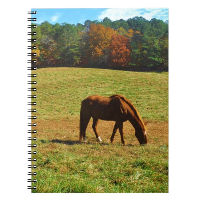 Carnet Cheval Brown rouge dans les arbres d'automne (Devant)