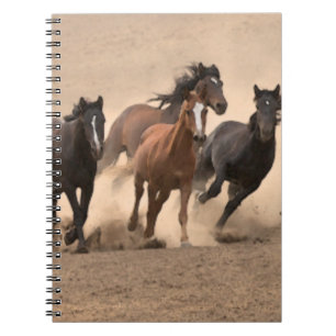 Carnet Cheval dans l'automne II