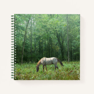 Carnet Cheval dans le pré