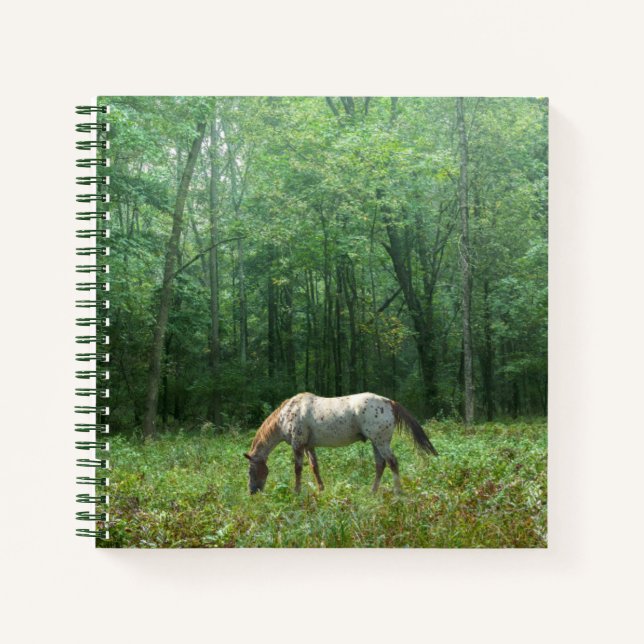 Carnet Cheval dans le pré (Devant)