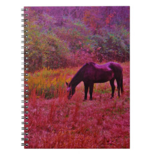 Carnet Cheval dans un champ de couleur Kaleidoscope