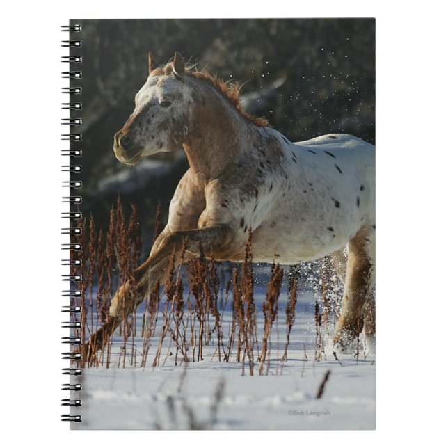 Carnet Cheval d'Appaloosa fonctionnant dans la neige (Devant)