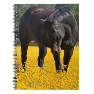 Carnet Cheval de baie dans un champ de fleurs jaunes