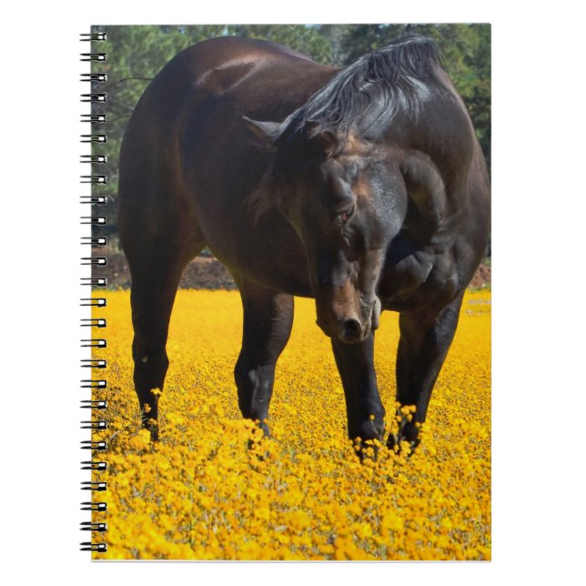Carnet Cheval de baie dans un champ de fleurs jaunes (Devant)