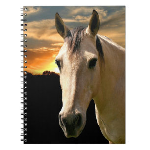 Carnet Cheval de coucher du soleil