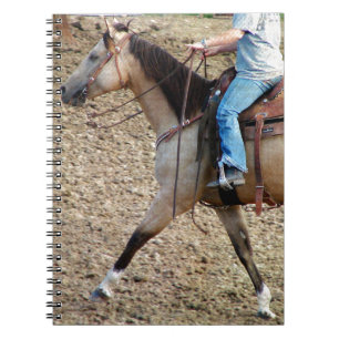 Carnet Cheval de rodéo Buckskin