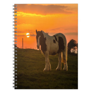Carnet Cheval du coucher du soleil