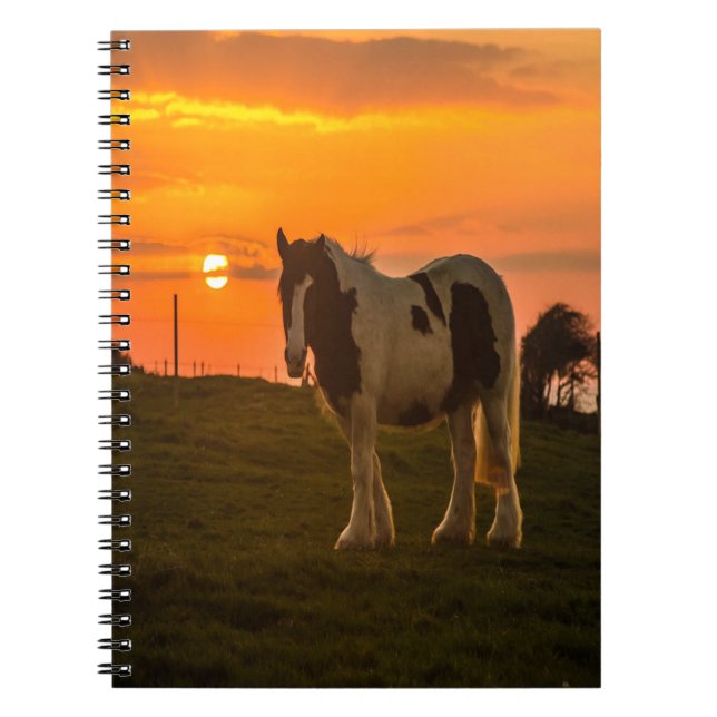 Carnet Cheval du coucher du soleil (Devant)