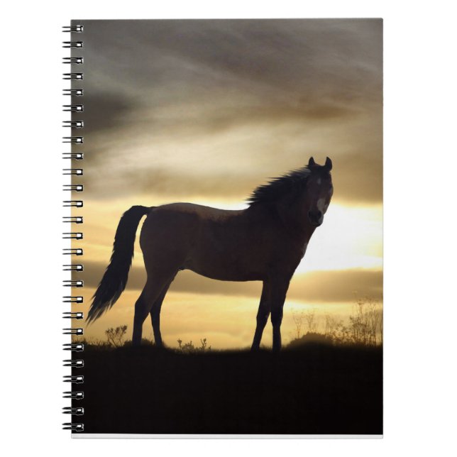 Carnet Cheval et coucher du soleil (Devant)