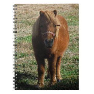 Carnet Cheval miniature Brown