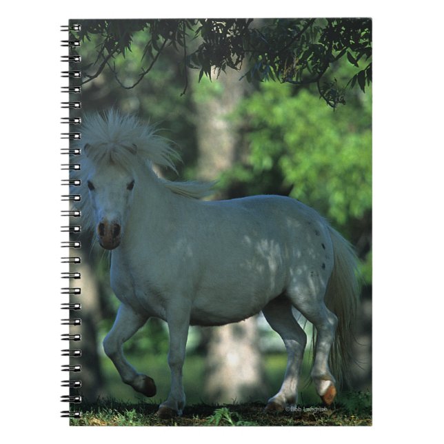 Carnet Cheval miniature se tenant dans les arbres (Devant)