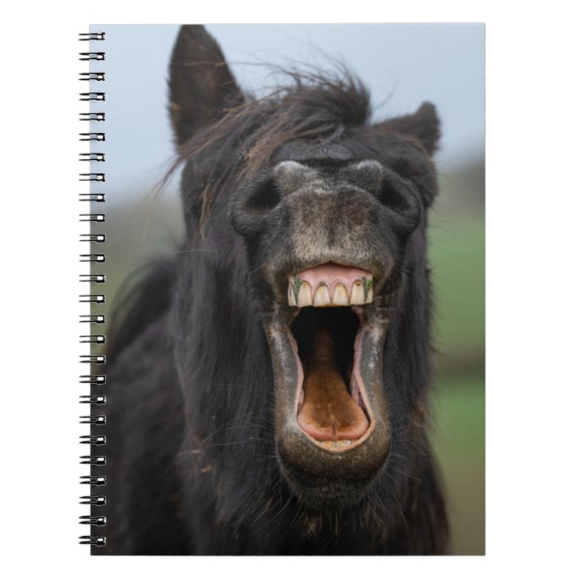 Carnet Cheval Montrant Ses Dents (Devant)