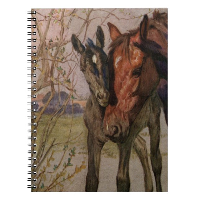 Carnet Cheval noir vintage de beauté "ma mère et I " (Devant)