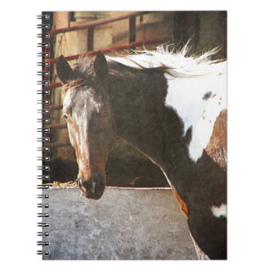 Carnet Cheval Pinto