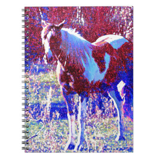 Carnet Cheval Pinto