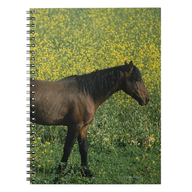 Carnet Cheval sauvage de mustang se tenant en fleurs (Devant)
