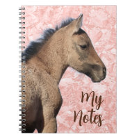 Cheval sauvage Mes notes
