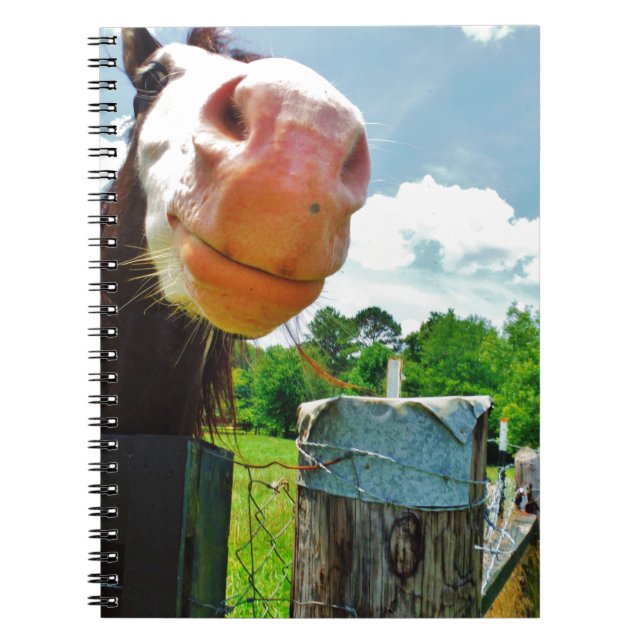 Carnet Cheval souriant (Devant)