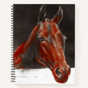 Carnet cheval sympathique
