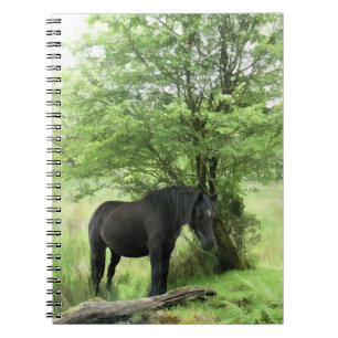 CARNET CHEVAUX
