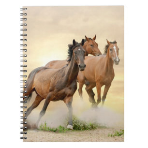 Carnet Chevaux dans le coucher du soleil