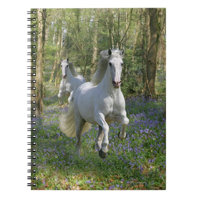 Carnet Chevaux d'imaginaire : Bois de jacinthe des bois (Devant)