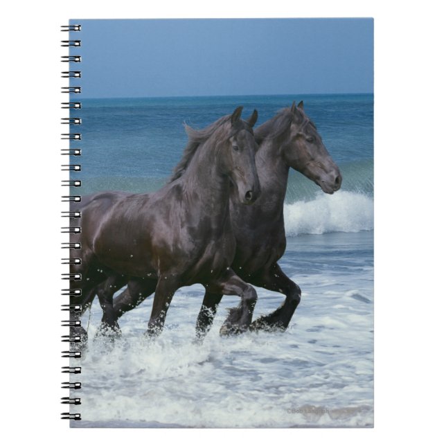 Carnet Chevaux d'imaginaire : Frisons et mer (Devant)