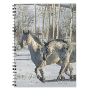Carnet Chevaux d'imaginaire : Le pays des merveilles