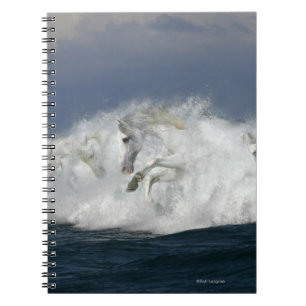 Carnet Chevaux d'imaginaire : Mer