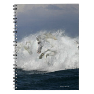 Carnet Chevaux d'imaginaire : Mer