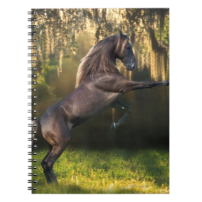 Carnet Chevaux d'imaginaire : Prince de guerrier (Devant)