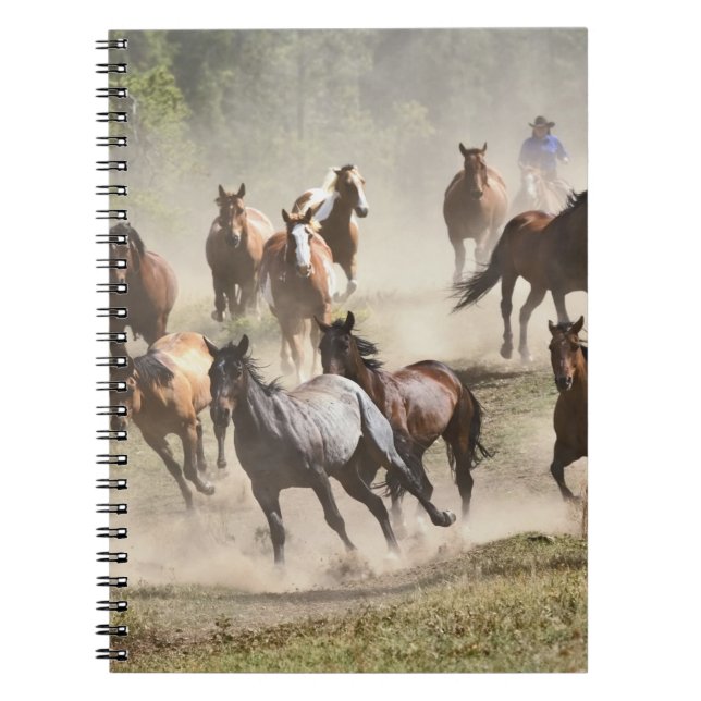 Carnet Chevaux en rafle, Montana (Devant)