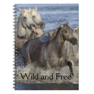 Carnet Chevaux galopant dans l'eau