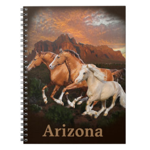 Carnet Chevaux sauvages