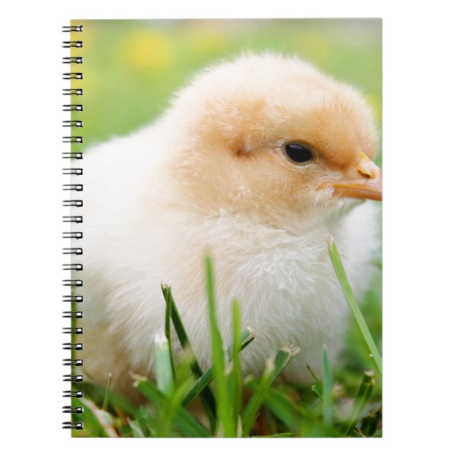 Carnet Chick (Devant)