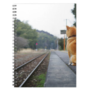 Carnet Chien assis à la gare
