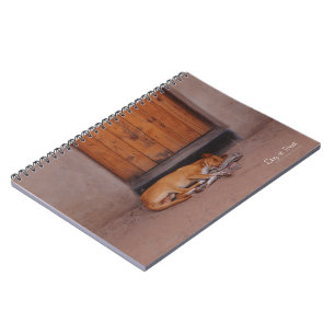 Carnet Chien au repos