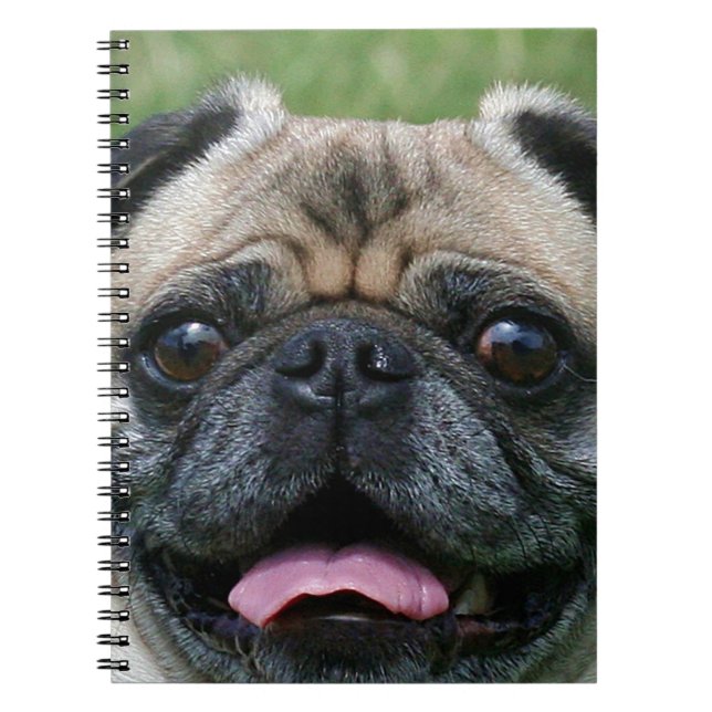 Carnet Chien carlin (Devant)