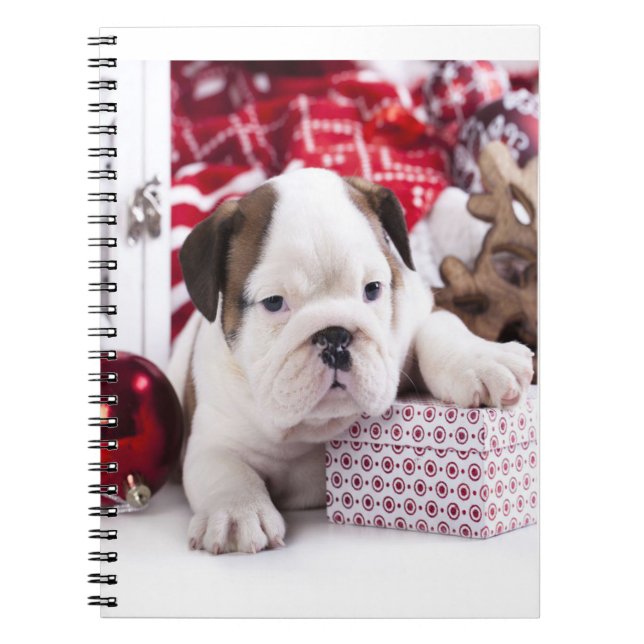 Carnet Chien-chien anglais mignon | Noël drôle (Devant)