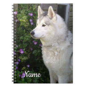 Carnet Chien chiot sibérien Husky